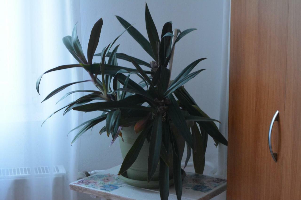 M@D Apartment Timişoara Eksteriør bilde